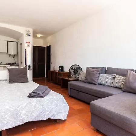 Apartment Cozy Park Studio